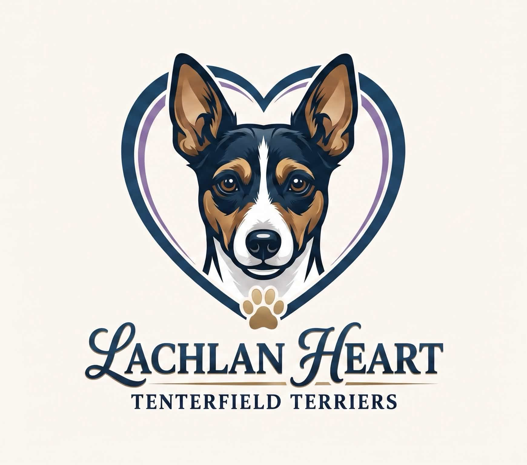 Lachlan Heart Tenterfield Terriers logo